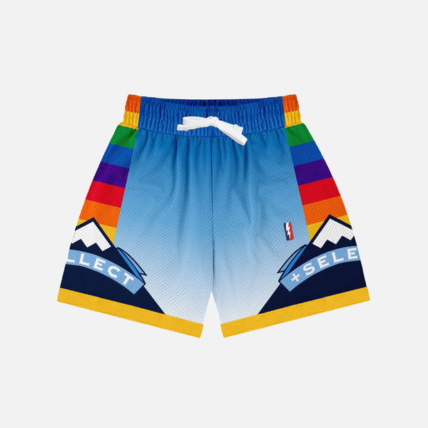 HEAVYWEIGHT MESH SHORTS